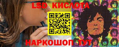 гидропоника Сланцы