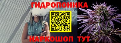 дживик Славгород