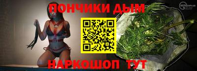 гидропоника Сланцы